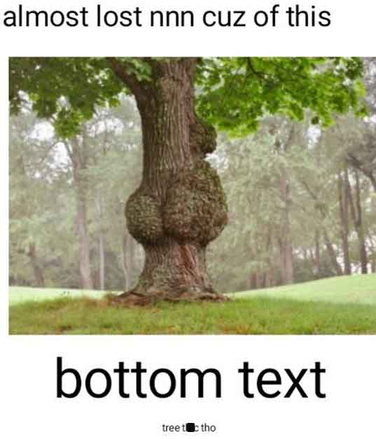 burl on tree trunk - almost lost nnn cuz of this bottom text treet c tho
