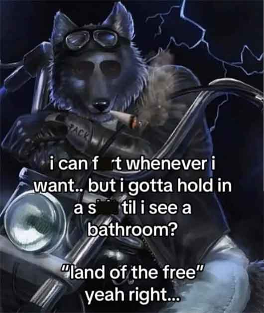 photo caption - Pack i can f rt whenever i want.. but i gotta hold in a stil i see a bathroom? "land of the free" yeah right...