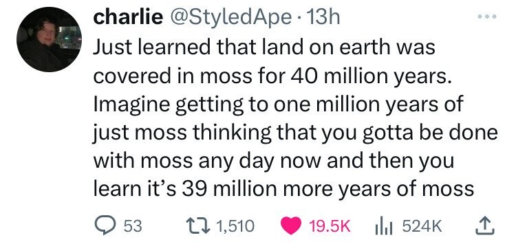 jo bache hain sang samait lo netflix - charlie . 13h Just learned that land on earth was covered in moss for 40 million years. Imagine getting to one million years of just moss thinking that you gotta be done with moss any day now and then you learn it's 