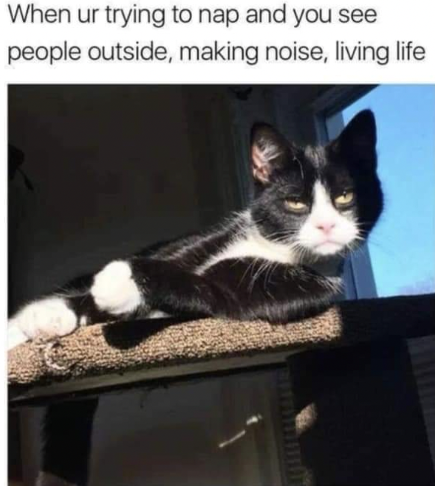 photo caption - When ur trying to nap and you see people outside, making noise, living life