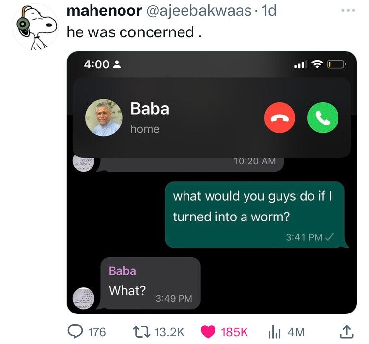 multimedia - mahenoor . 1d he was concerned. 176 Baba home Baba What? what would you guys do if I turned into a worm? 4M