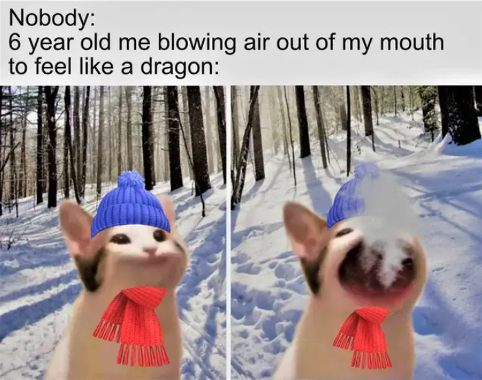20 Wholesome Memes to Bundle Up With 