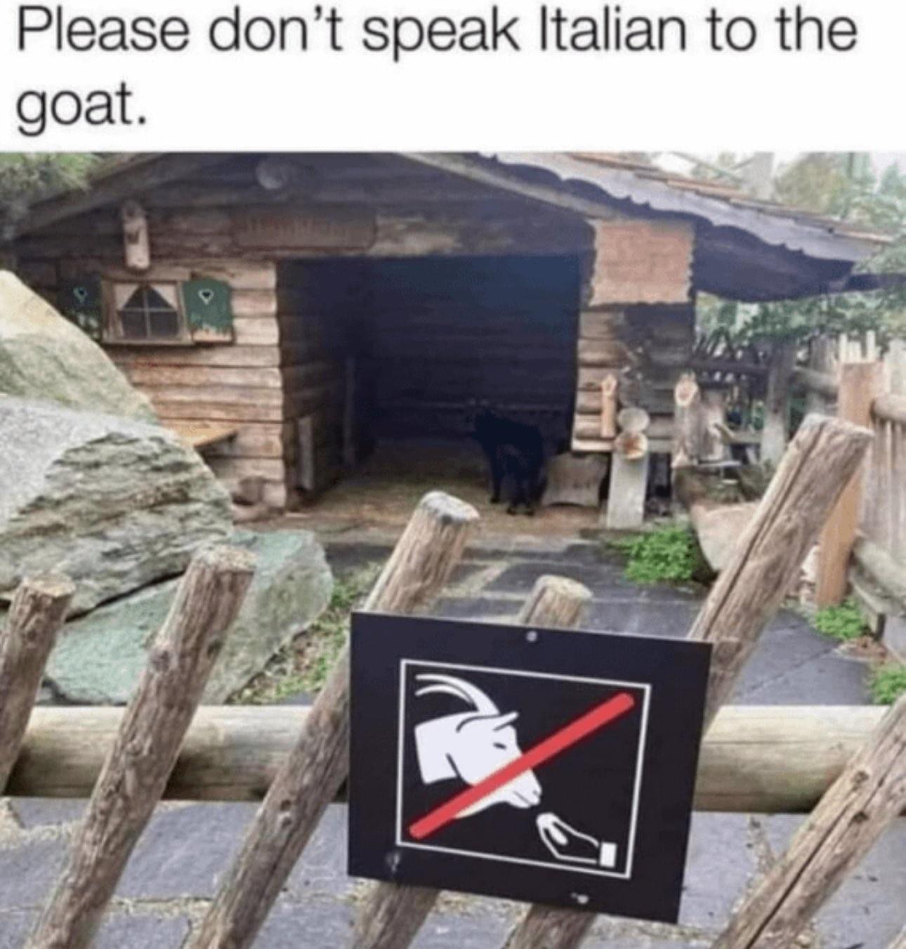 wood - Please don't speak Italian to the goat.