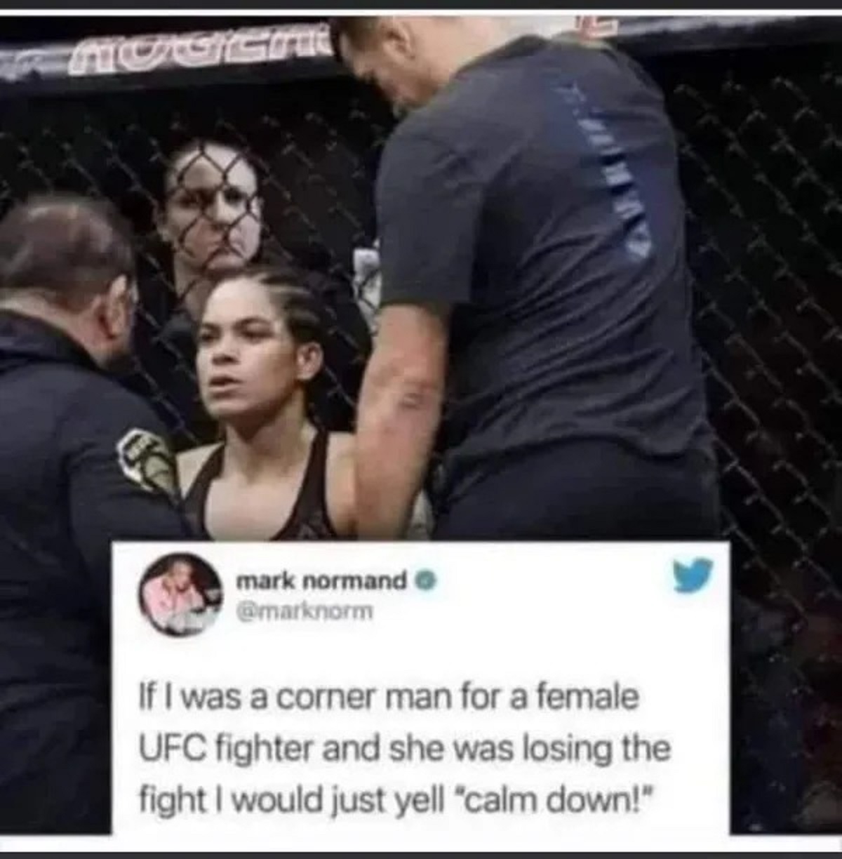 photo caption - Nogga lo mark normand If I was a corner man for a female Ufc fighter and she was losing the fight I would just yell "calm down!"