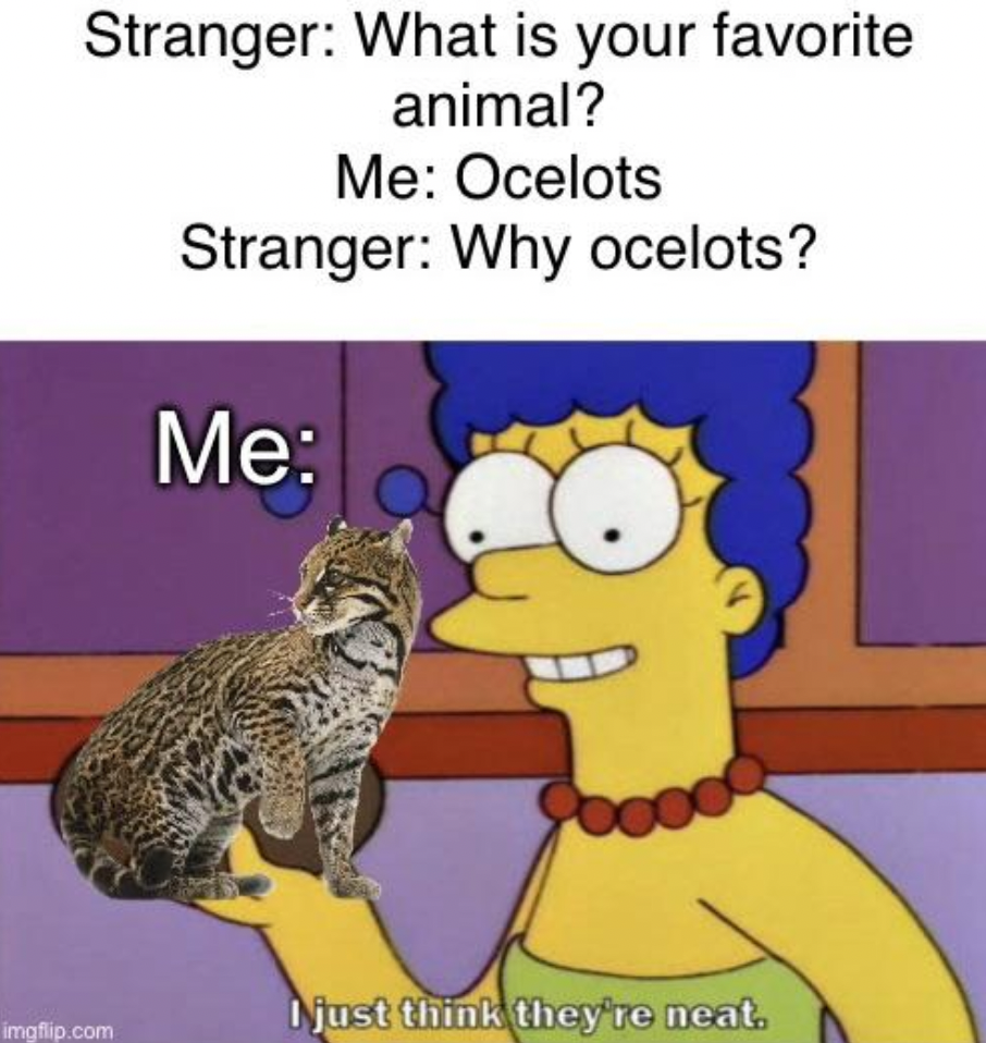 cartoon - Stranger What is your favorite animal? imgflip.com Me Ocelots Stranger Why ocelots? Me I just think they're neat.