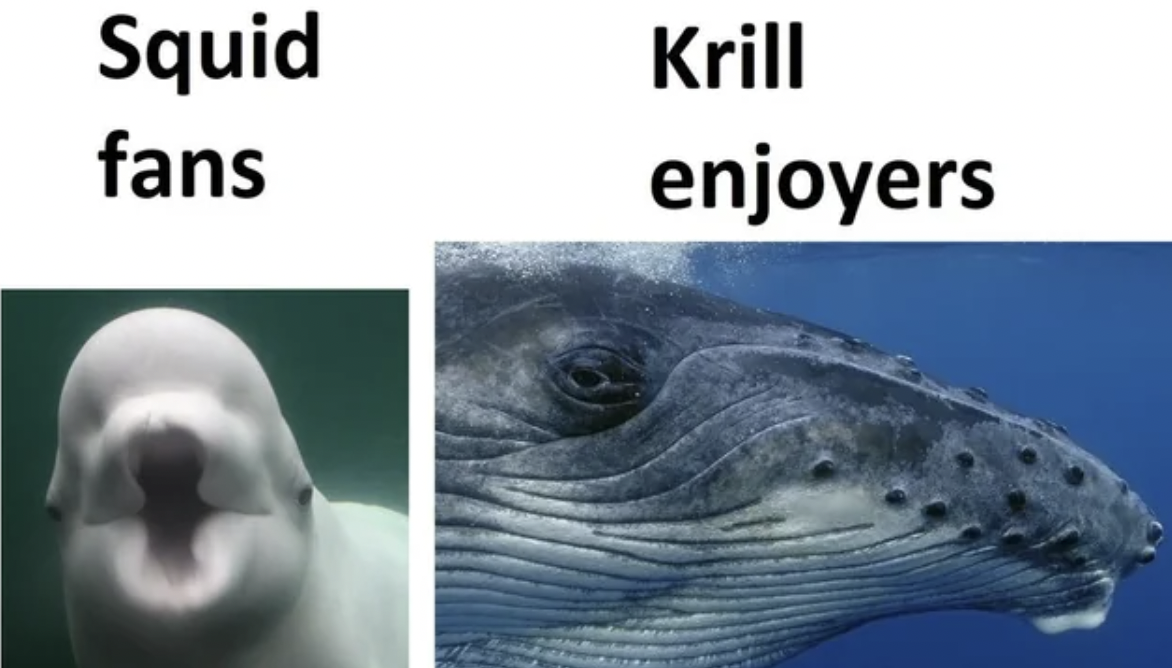 krill memes - Squid fans Krill enjoyers