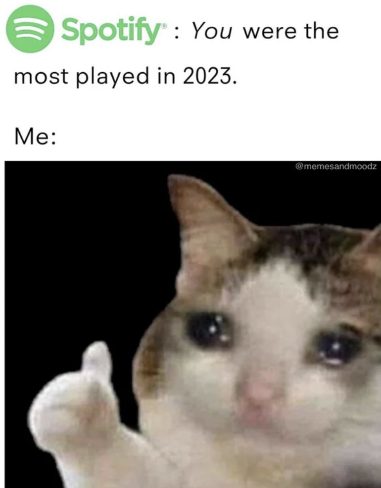crying cat thumbs up memes - Spotify You were the most played in 2023. Me