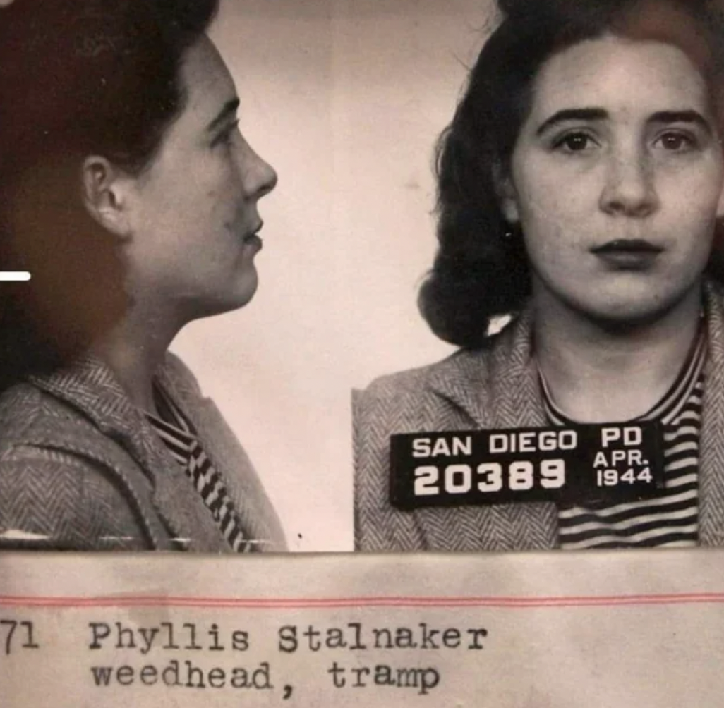 phyllis stalnaker mugshot - Him San Diego Pd Apr. 20389 1944 71 Phyllis Stalnaker weedhead, tramp
