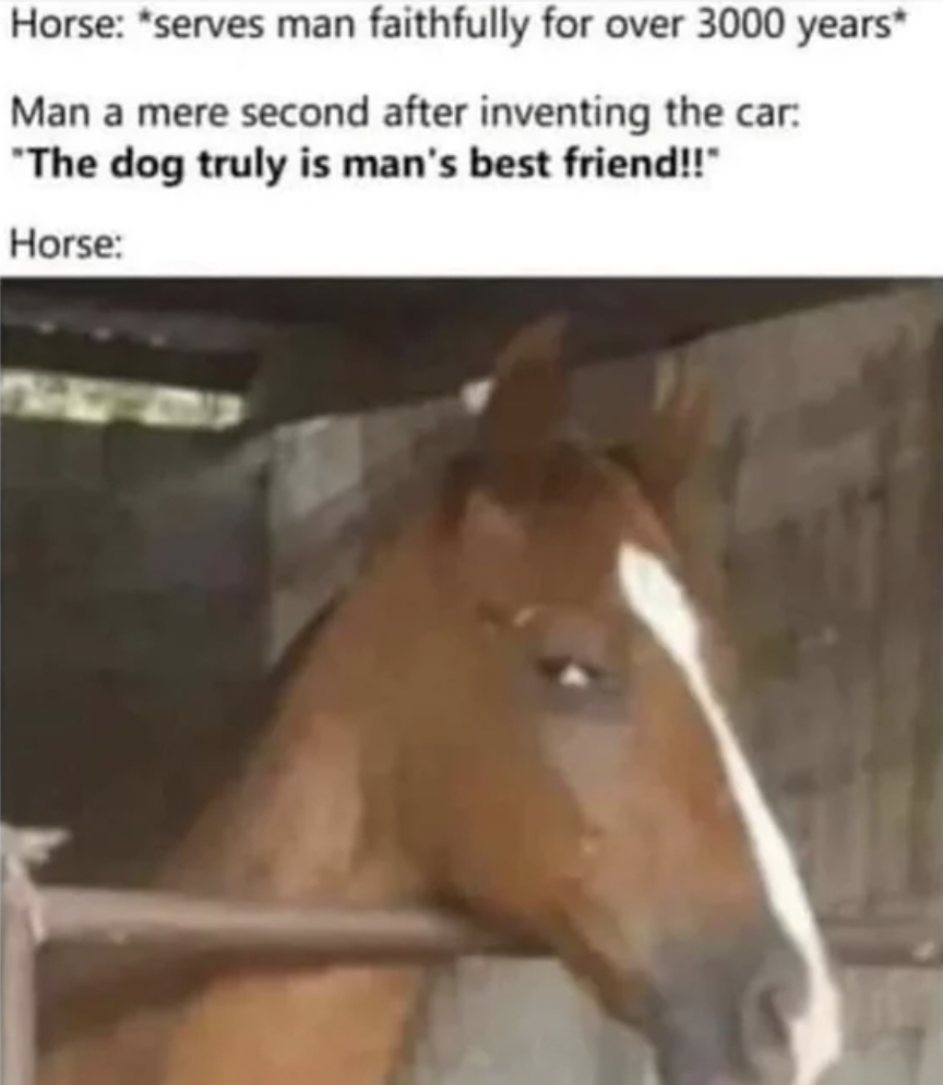 horse meme - Horse serves man faithfully for over 3000 years Man a mere second after inventing the car "The dog truly is man's best friend!!" Horse