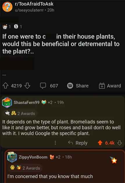 screenshot - rTooAfraidToAsk useayoulaterrr 20h If one were to c in their house plants, would this be beneficial or detremental to the plant?.. 4219 607 h ShastaFern99 2 Awards It depends on the type of plant. Bromeliads seem to it and grow better, but ro