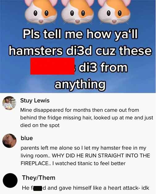 funny ways hamsters died - Pls tell me how ya'll hamsters di3d cuz these di3 from anything Stuy Lewis Mine disappeared for months then came out from behind the fridge missing hair, looked up at me and just died on the spot blue parents left me alone so I 