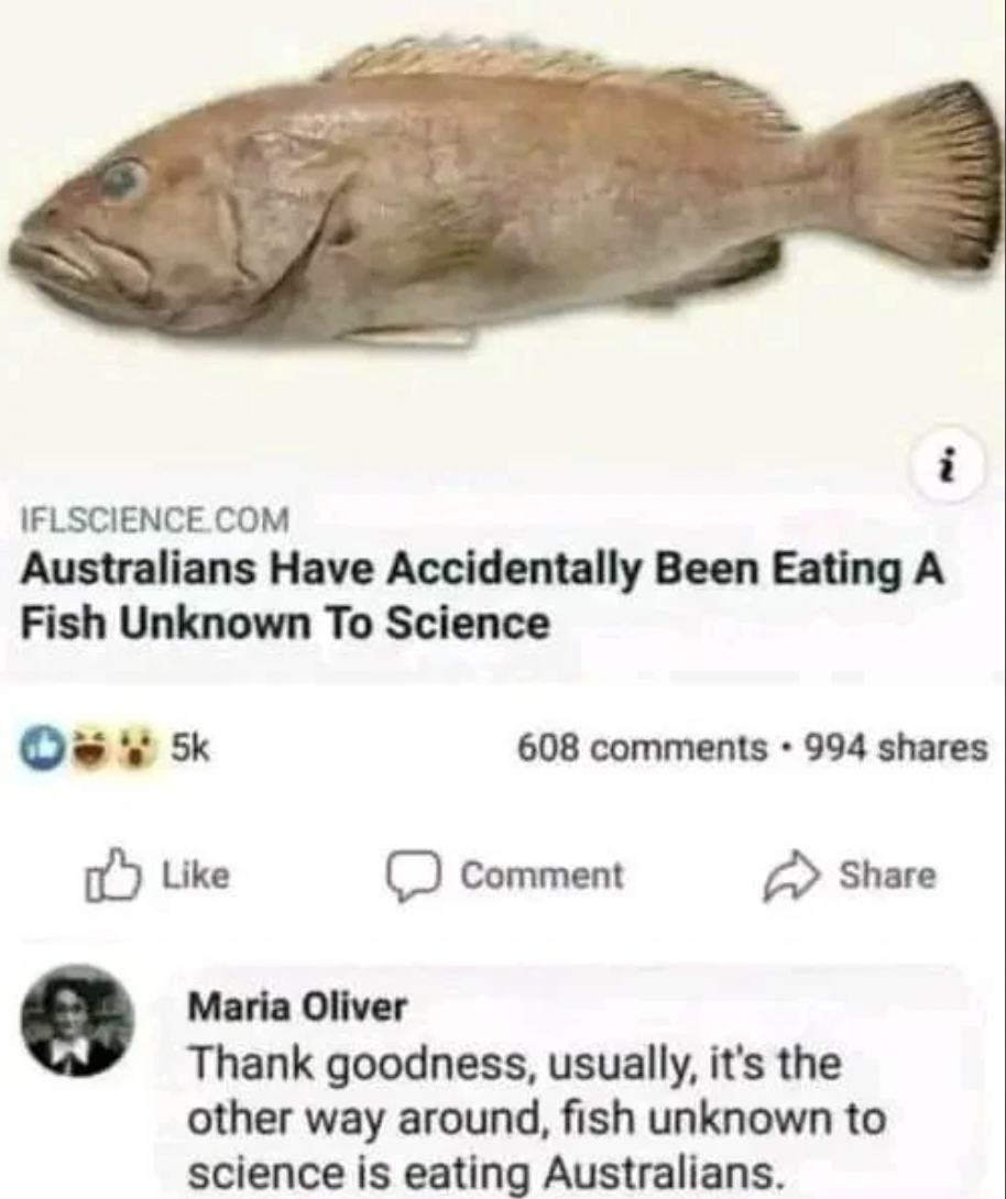 science memes - Iflscience.Com Australians Have Accidentally Been Eating A Fish Unknown To Science Zap 5k i 608 994 Comment Maria Oliver Thank goodness, usually, it's the other way around, fish unknown to science is eating Australians.