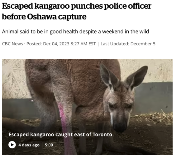 20 of the Wildest Headlines of the Week 