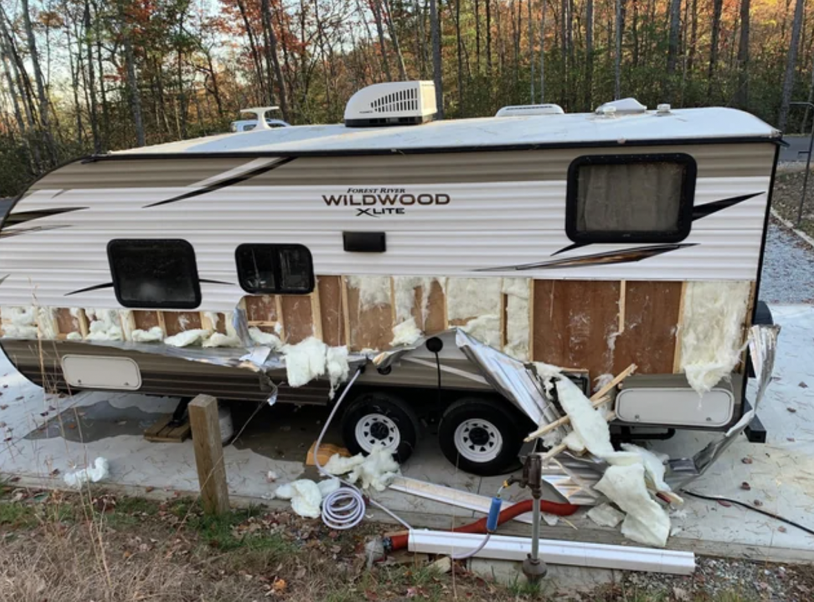bear attacks camper in north carolina - Forte Wildwood Xlite