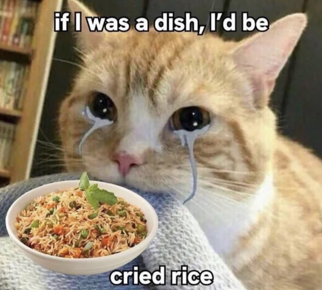 photo caption - if I was a dish, I'd be cried rice