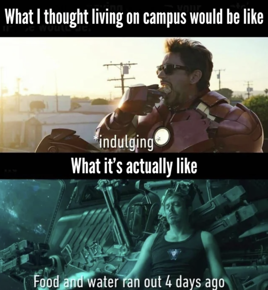 avengers endgame memes - What I thought living on campus would be indulging What it's actually Food and water ran out 4 days ago