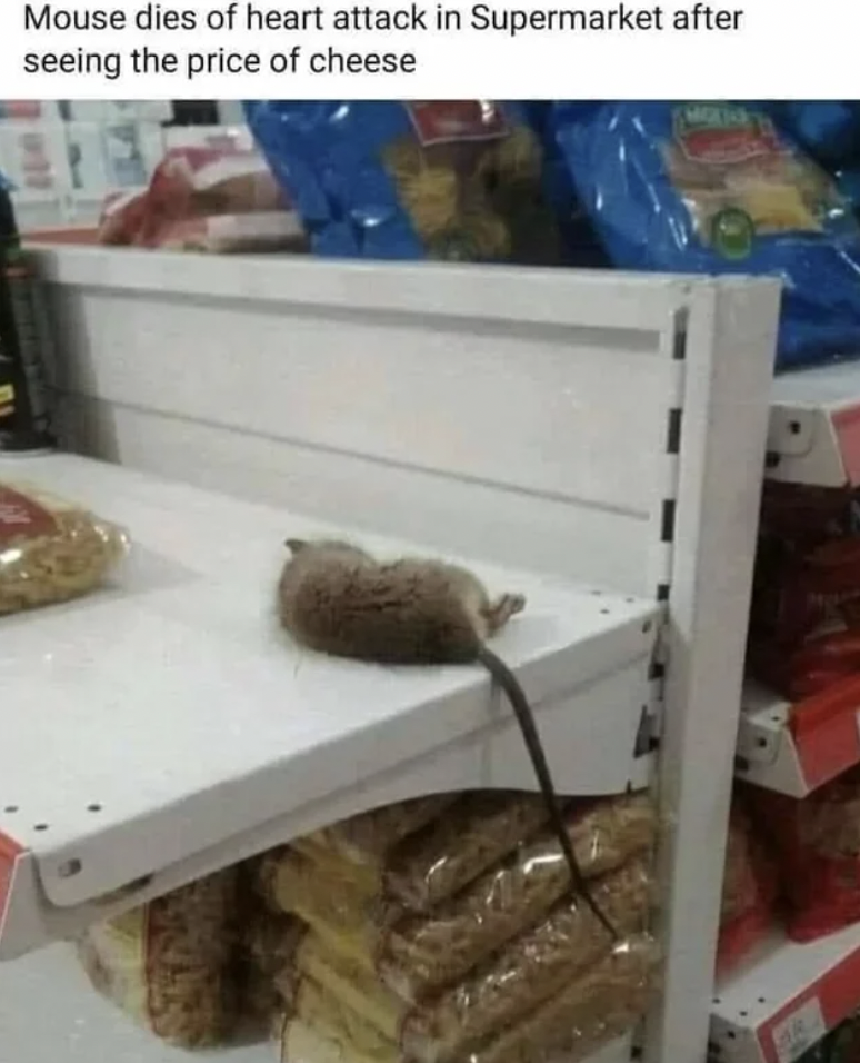 pet - Mouse dies of heart attack in Supermarket after seeing the price of cheese