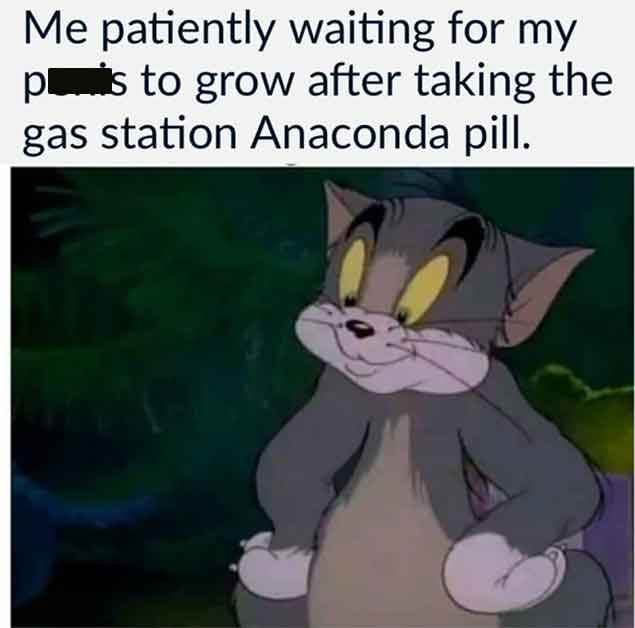 cartoon - Me patiently waiting for my ps to grow after taking the gas station Anaconda pill.