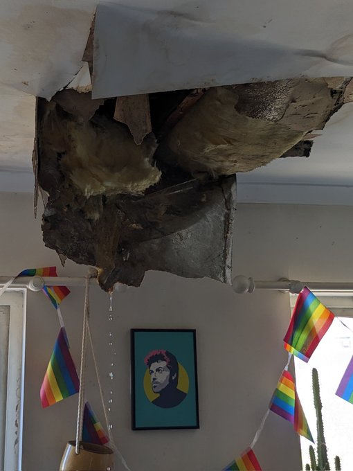 Dude Documents His Landlord's Negligence for Two Years Leading to His Ceiling Caving In
