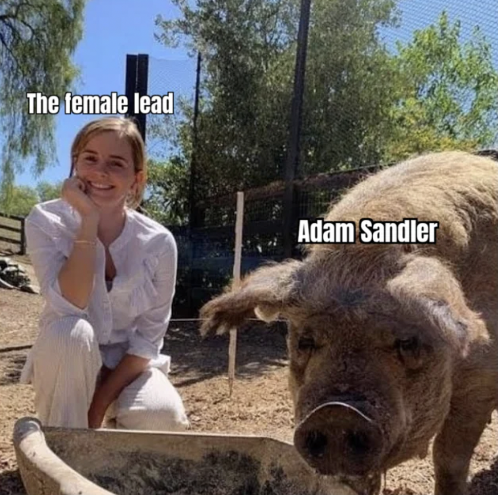 emma watson pig meme - The female lead Adam Sandler