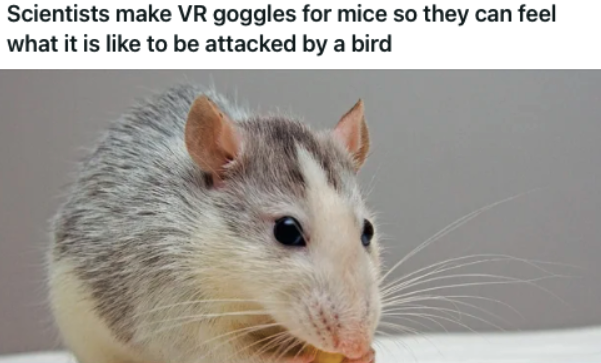 19 of the Funniest Headlines From the Weekend