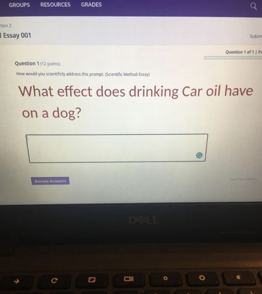software - Groups on 2 Essay 001 Resources Grades C D Question 112 punts How would you scientificly address this prompt. Scermic Method Essay What effect does drinking Car oil have on a dog? Di O Q O Subm Question 1 of 11 P