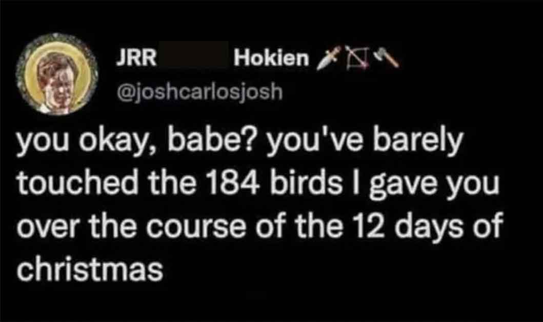 darkness - Jrr Hokien you okay, babe? you've barely touched the 184 birds I gave you over the course of the 12 days of christmas