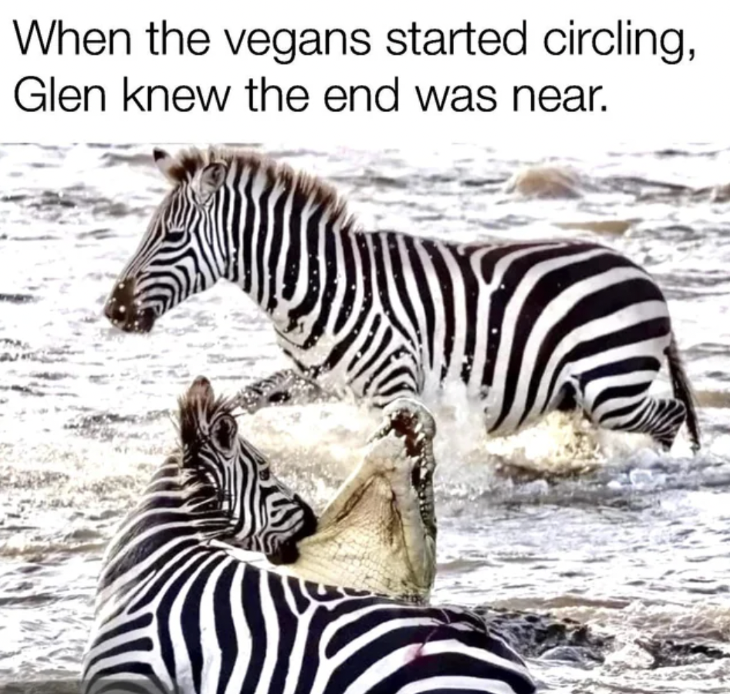 cork university hospital - When the vegans started circling, Glen knew the end was near.