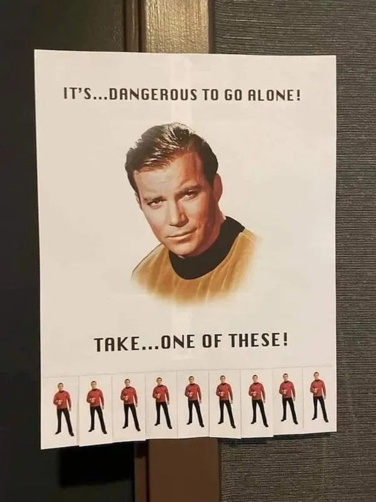 poster - It'S...Dangerous To Go Alone! Take...One Of These! Ra