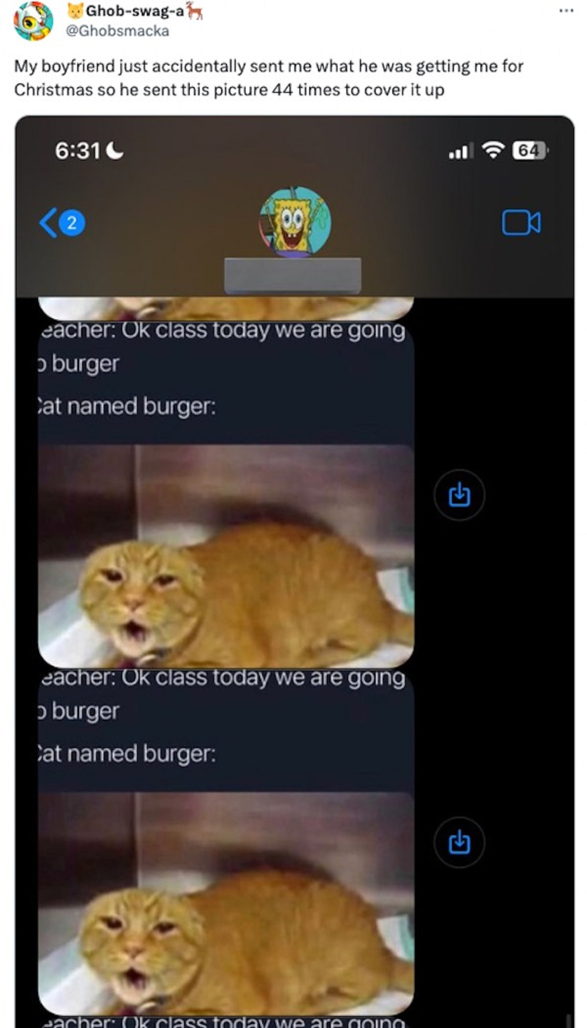 cat - Ghobswaga My boyfriend just accidentally sent me what he was getting me for Christmas so he sent this picture 44 times to cover it up 2 00 eacher Ok class today we are going o burger at named burger eacher Ok class today we are going o burger at nam