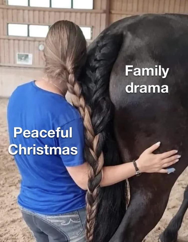 horse girl memes - Peaceful Christmas Family drama