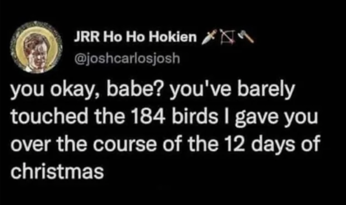 darkness - Jrr Ho Ho Hokien you okay, babe? you've barely touched the 184 birds I gave you over the course of the 12 days of christmas