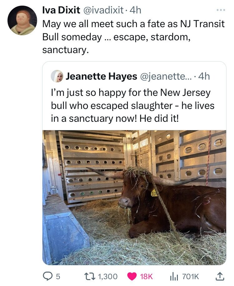 cattle - Iva Dixit . 4h May we all meet such a fate as Nj Transit Bull someday... escape, stardom, sanctuary. Jeanette Hayes .... 4h I'm just so happy for the New Jersey bull who escaped slaughter he lives in a sanctuary now! He did it! 5 t 1,300 l