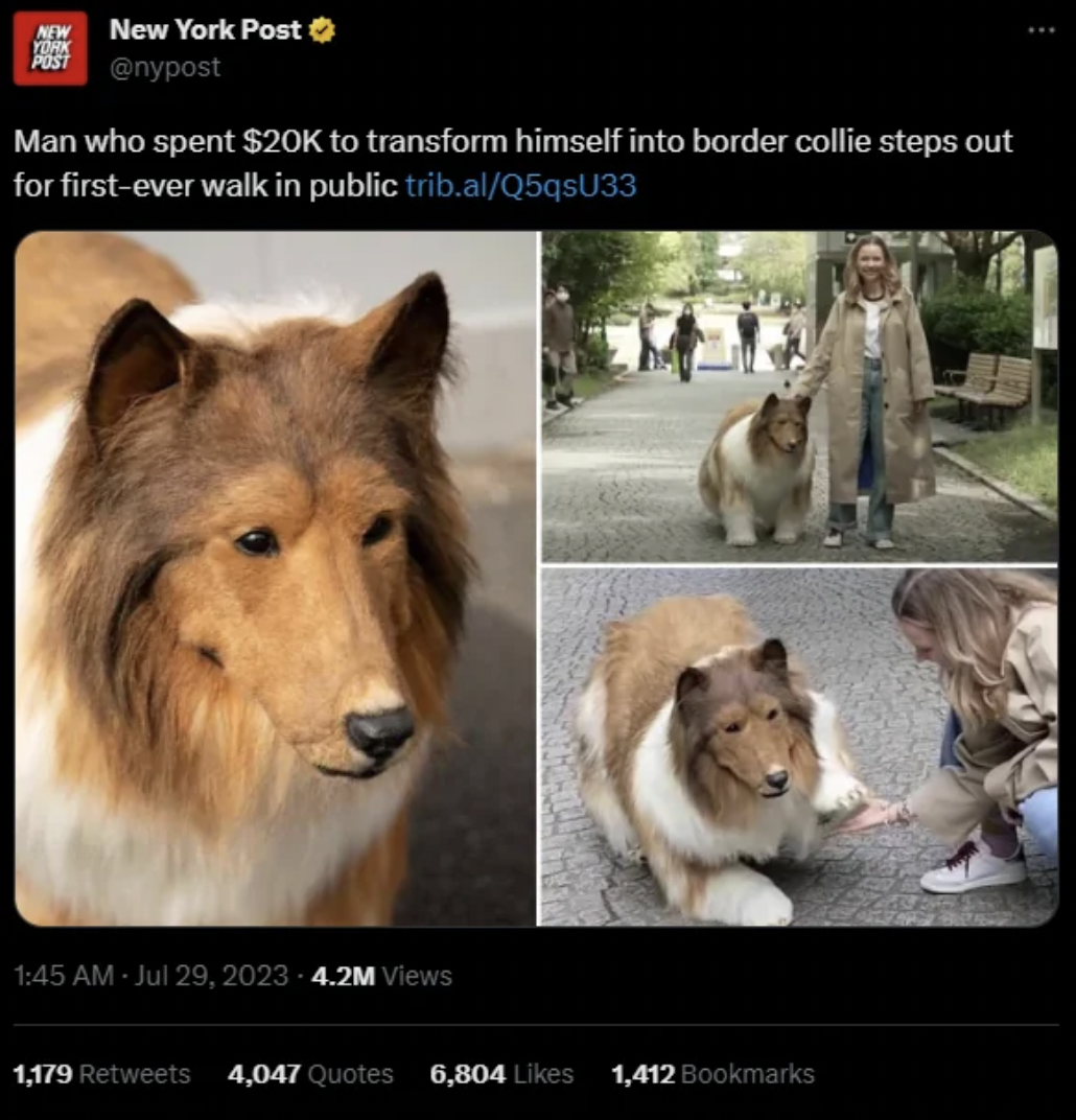 man turns himself into border collie - Atw New York Post Yunk Post Man who spent $20K to transform himself into border collie steps out for firstever walk in public trib.alQ5qsU33 4.2M Views 1,179 4,047 Quotes 6,804 1,412 Bookmarks