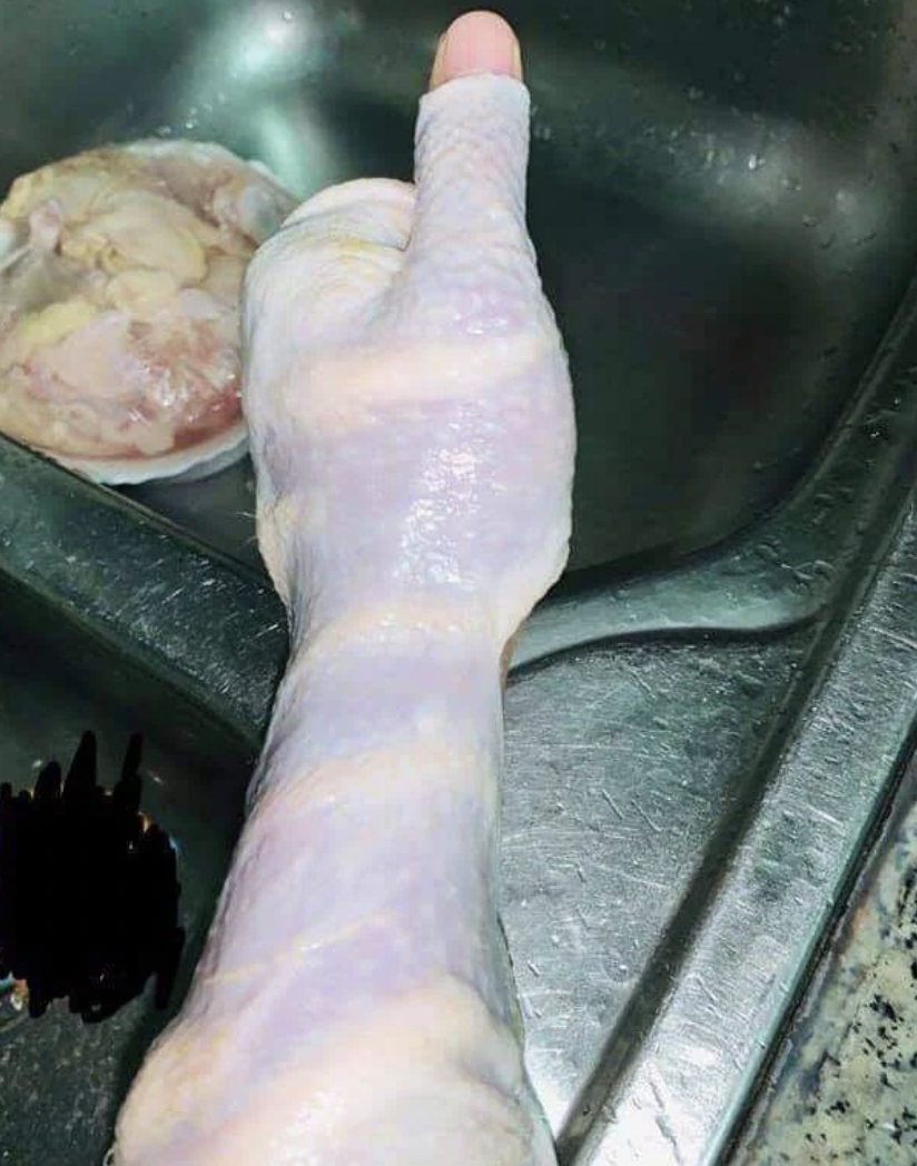 salmonella in chicken skin
