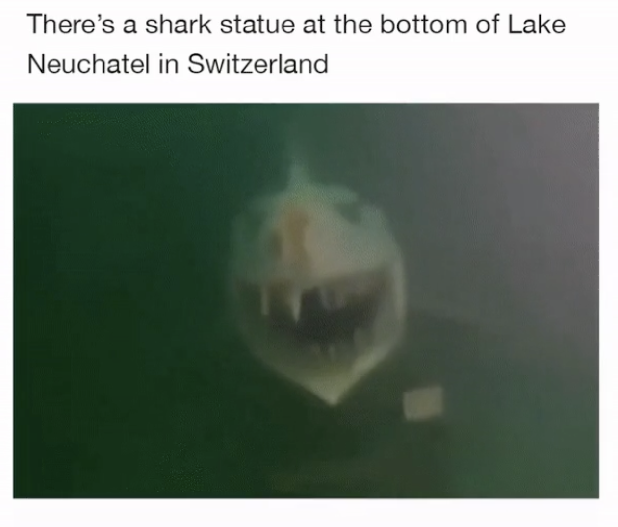jaw - There's a shark statue at the bottom of Lake Neuchatel in Switzerland