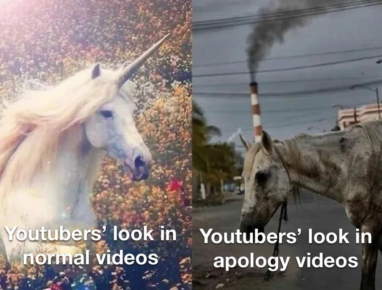 fauna - Youtubers' look in normal videos Youtubers' look in apology videos