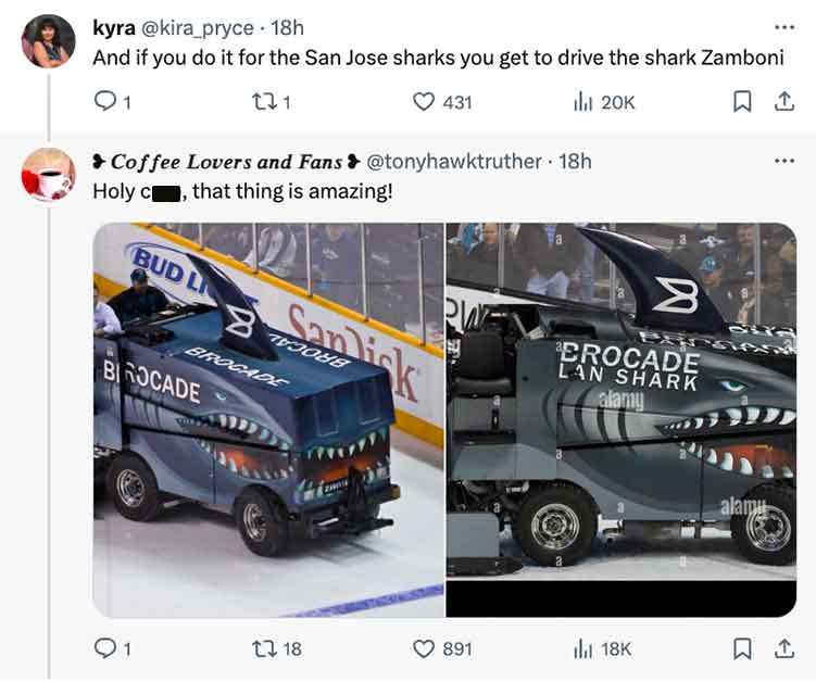 Every Man's Dream Job is Being a Zamboni Driver
