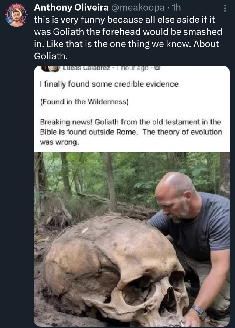 fauna - Anthony Oliveira . 1h this is very funny because all else aside if it was Goliath the forehead would be smashed in. that is the one thing we know. About Goliath. Lucas Calabrez 1 hour ago I finally found some credible evidence Found in the Wildern
