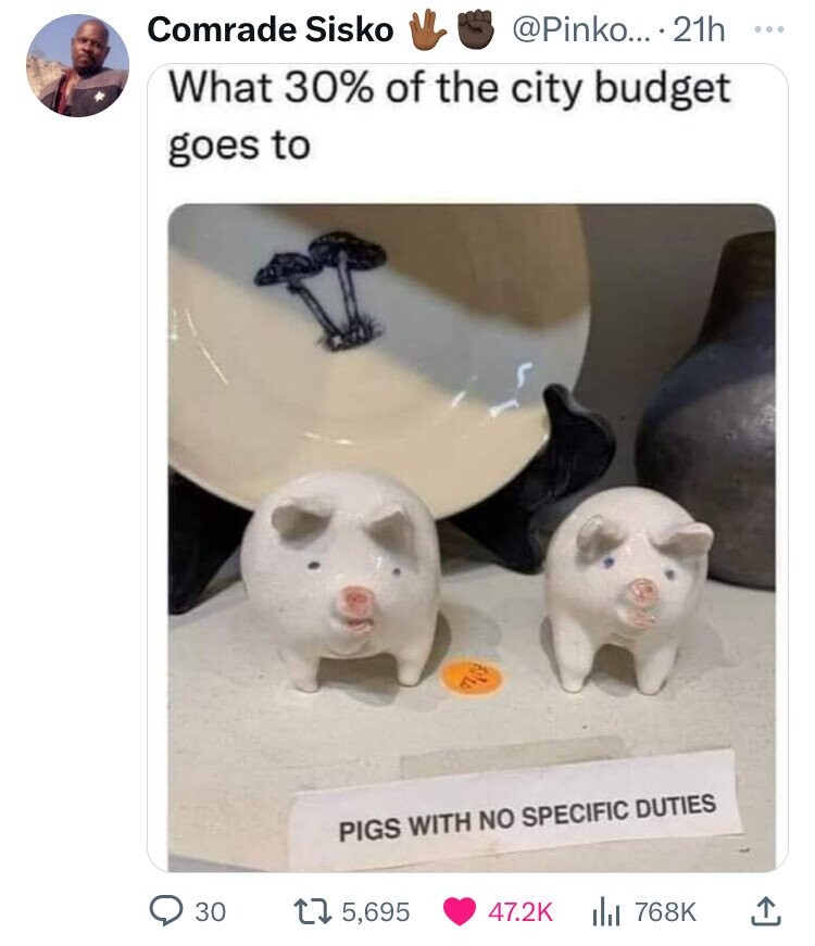 pigs with no specific duties - Comrade Sisko .... 21h What 30% of the city budget goes to 6120 Pigs With No Specific Duties 30 t 5,695
