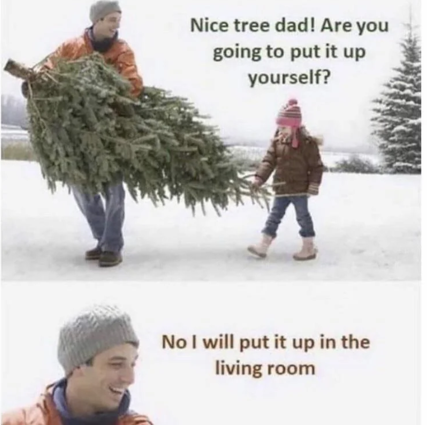 holiday spirit christmas memes - Nice tree dad! Are you going to put it up yourself? No I will put it up in the living room