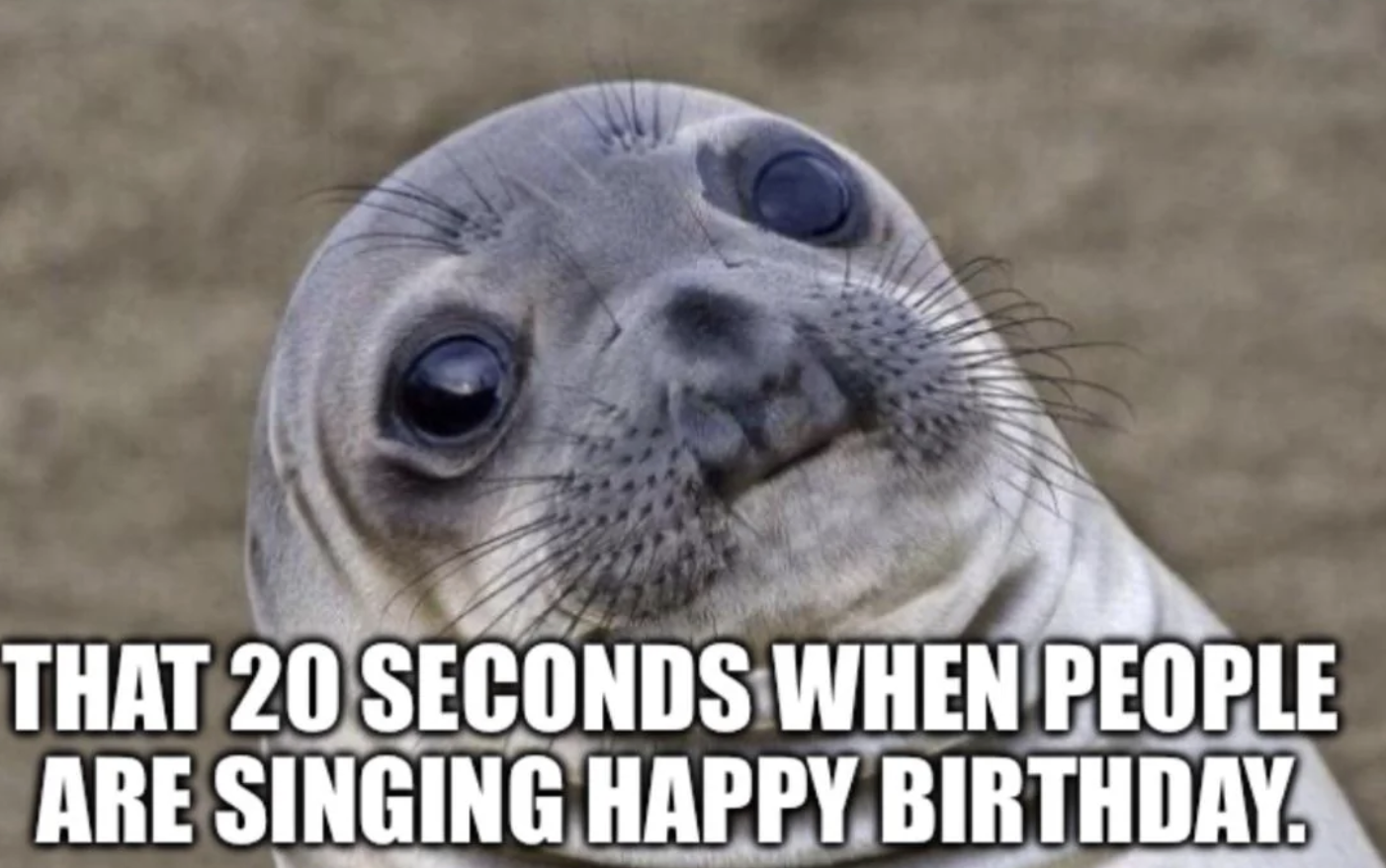 digital memes - That 20 Seconds When People Are Singing Happy Birthday.