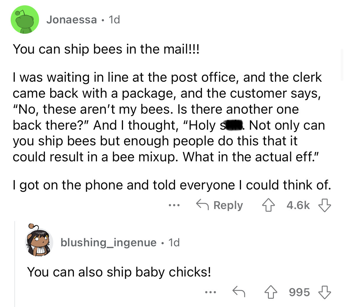 angle - Jonaessa. 1d You can ship bees in the mail!!! I was waiting in line at the post office, and the clerk came back with a package, and the customer says, "No, these aren't my bees. Is there another one back there?" And I thought, "Holy s. Not only ca