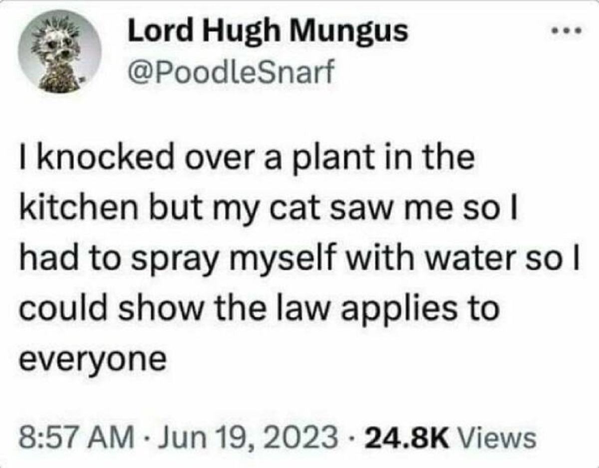 paper - Lord Hugh Mungus I knocked over a plant in the kitchen but my cat saw me so I had to spray myself with water so l could show the law applies to everyone Views