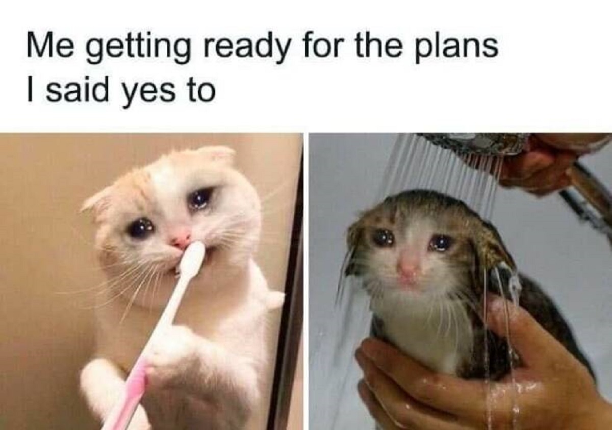 fauna - Me getting ready for the plans I said yes to