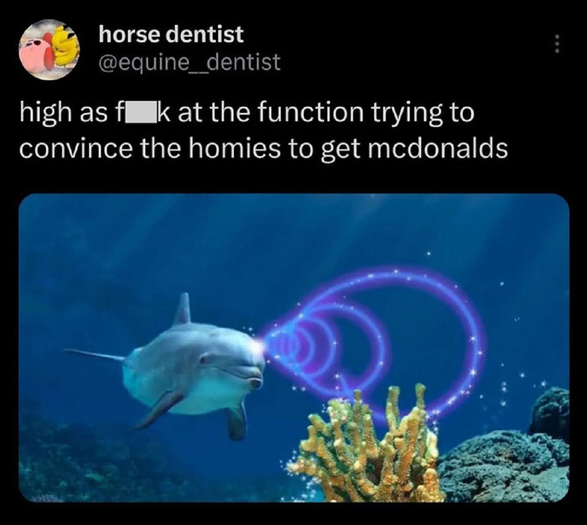 marine biology - horse dentist high as fk at the function trying to convince the homies to get mcdonalds