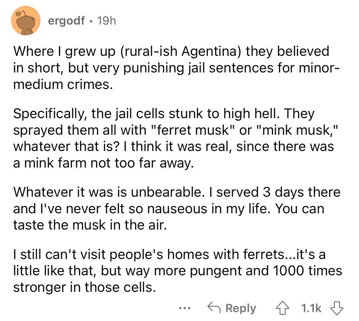 angle - ergodf. 19h Where I grew up ruralish Agentina they believed in short, but very punishing jail sentences for minor medium crimes. Specifically, the jail cells stunk to high hell. They sprayed them all with "ferret musk" or "mink musk," whatever tha