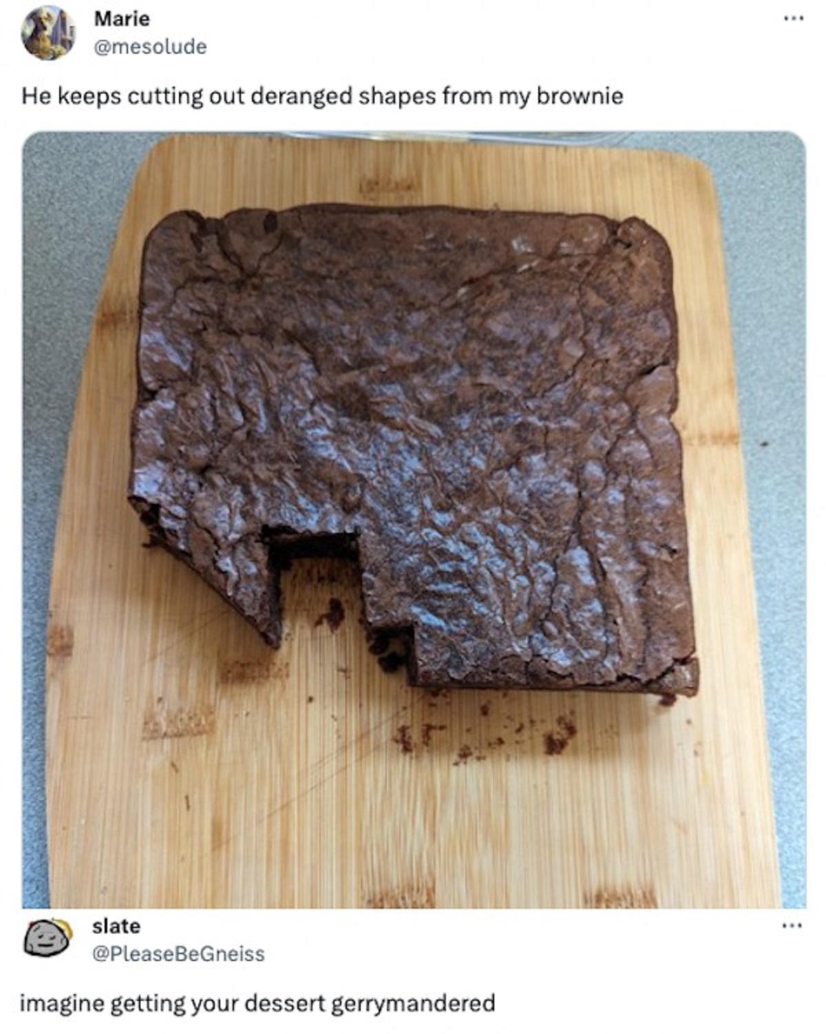 chocolate brownie - Marie He keeps cutting out deranged shapes from my brownie slate imagine getting your dessert gerrymandered