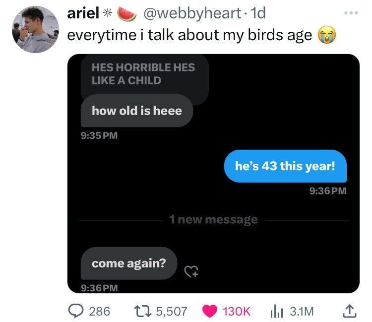 multimedia - ariel everytime Hes Horrible Hes A Child how old is heee . 1d i talk about my birds age come again? 286 he's 43 this year! 1 new message t 5,507 3.1M