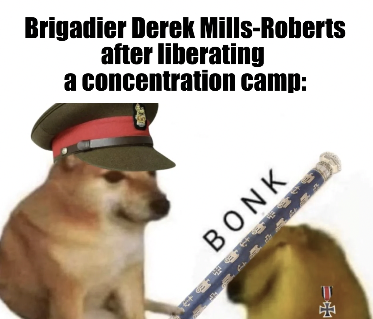 dog - Brigadier Derek MillsRoberts after liberating a concentration camp